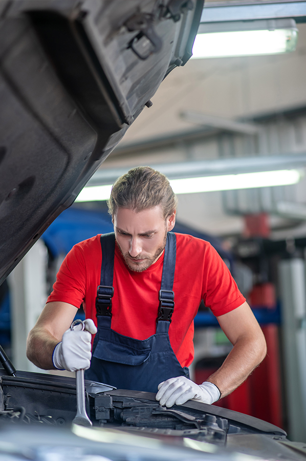  Routine Auto Maintenance in Glendale, CA